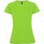 VERT FOUGERE