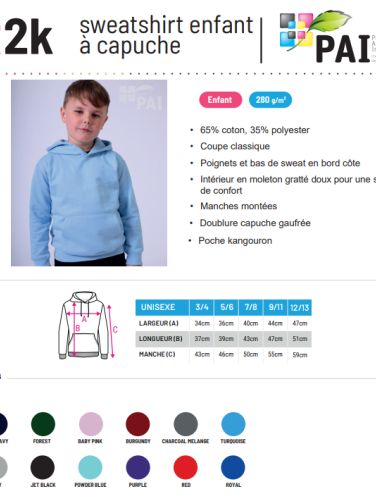 CR2 - Sweat à capuche top qualité/prix - 280g - 22 couleurs